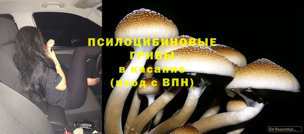 дурь Горняк