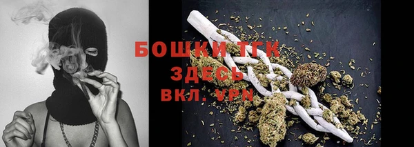 дурь Горняк