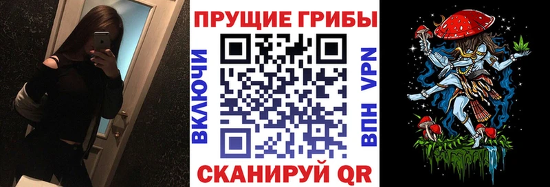 Псилоцибиновые грибы Cubensis  Глазов 
