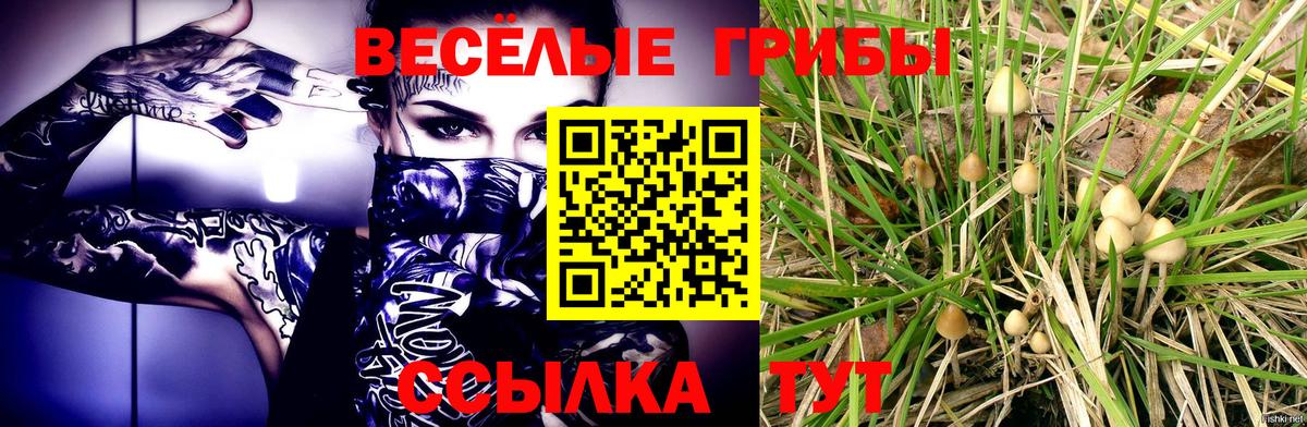 Псилоцибиновые грибы мицелий  цены наркотик  Глазов  Вход с VPN 